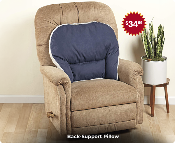 Back-Support Pillow