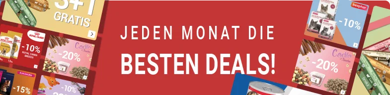 top banner