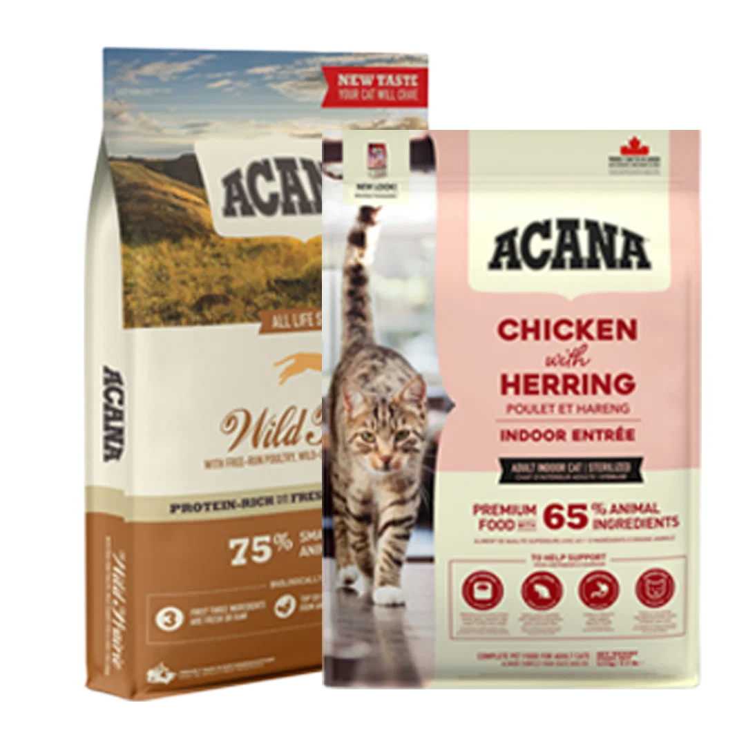 packshot