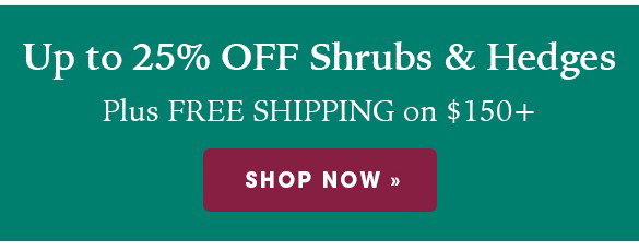 FINAL HOURS: Up to 20% OFF Perennials + Free Shipping on $150+