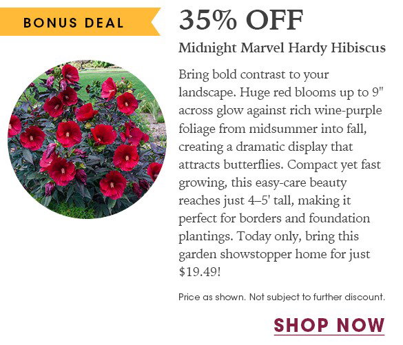 FINAL HOURS: Up to 20% OFF Perennials + Free Shipping on $150+
