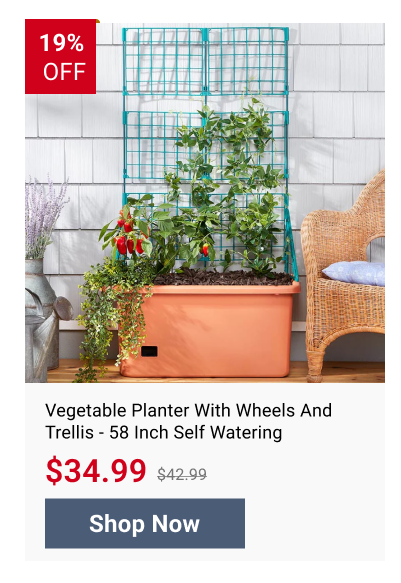Vegetable Planter With Wheels And Trellis - 58 Inch Self Watering