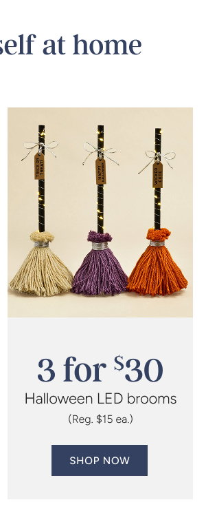 Halloween LED Broom Decor Special Price 3 for $30 (reg. $10 ea)