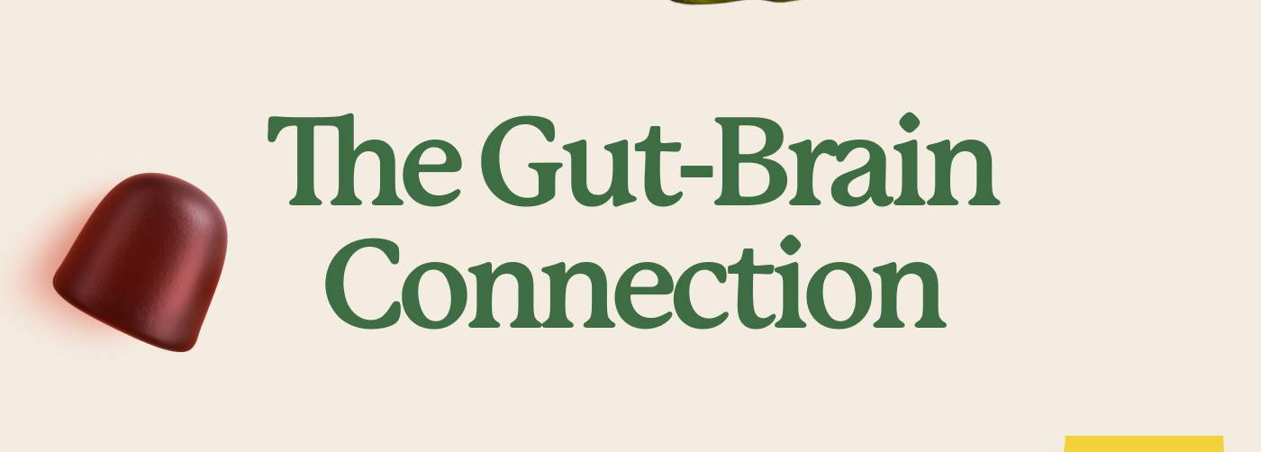 The Gut-Brain Connection