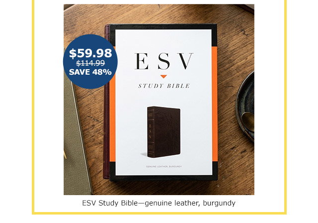 ESV Stidu Bible
