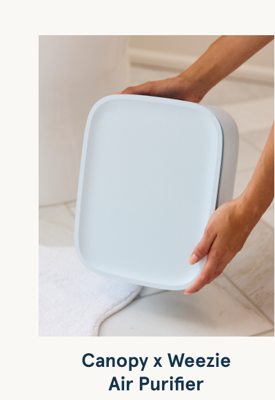 Air purifier