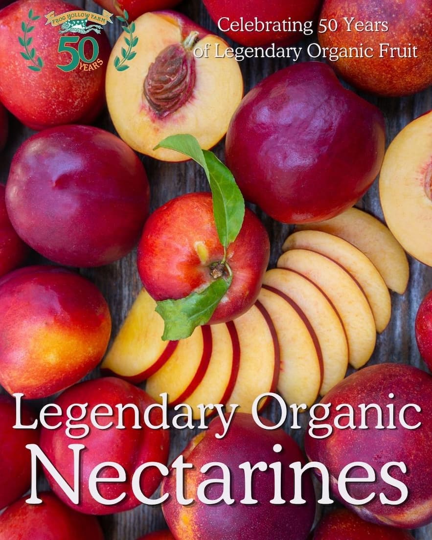 Organic Yellow Nectarines