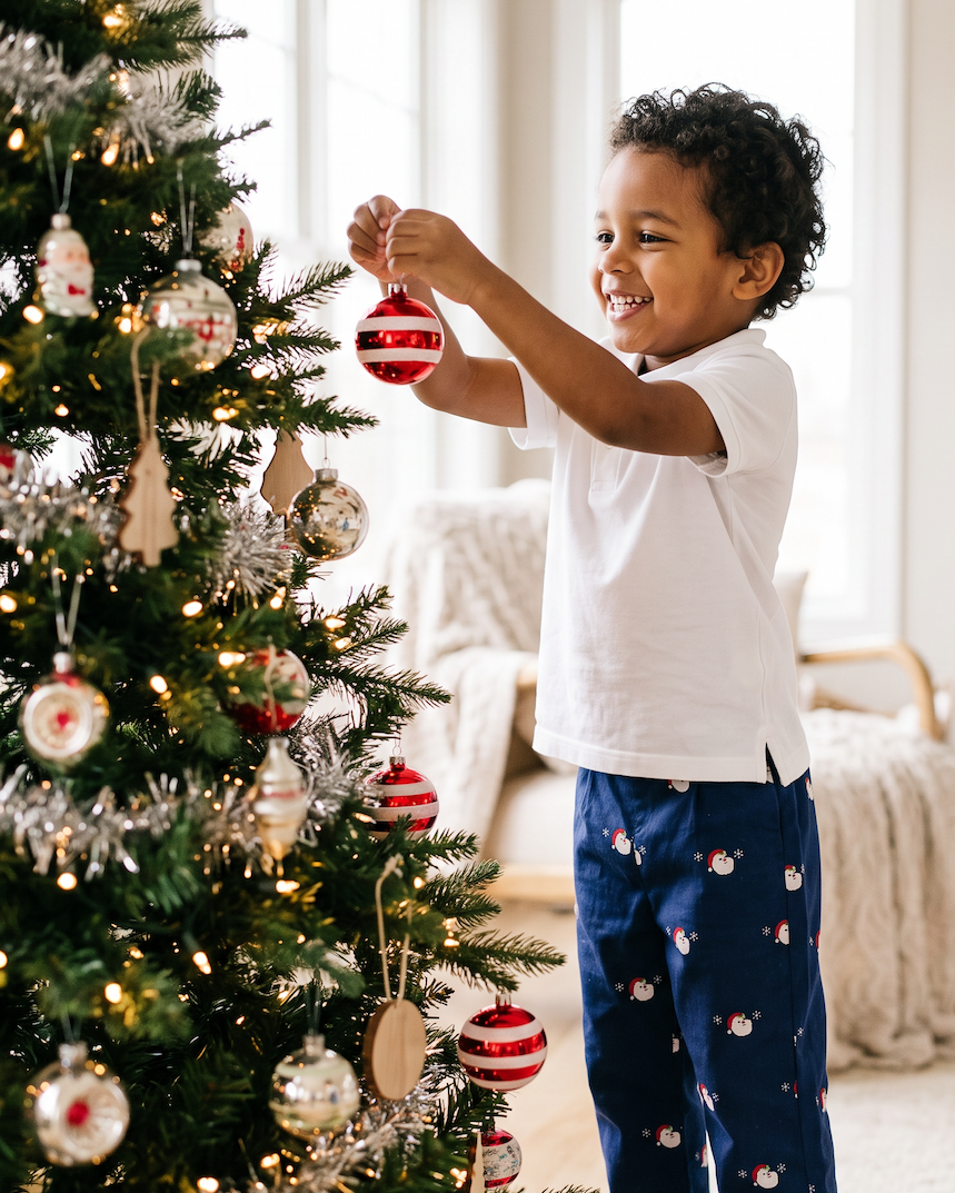 Embroidered Santa Navy Pants