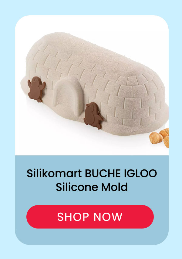 BUCHE IGLOO 