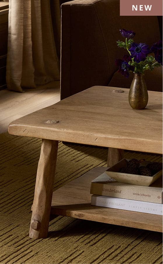 Hasia Light Mixed Coffee Table