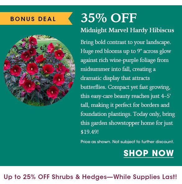 TODAY ONLY: Up to 20% OFF Trees + Free Shipping on $150+