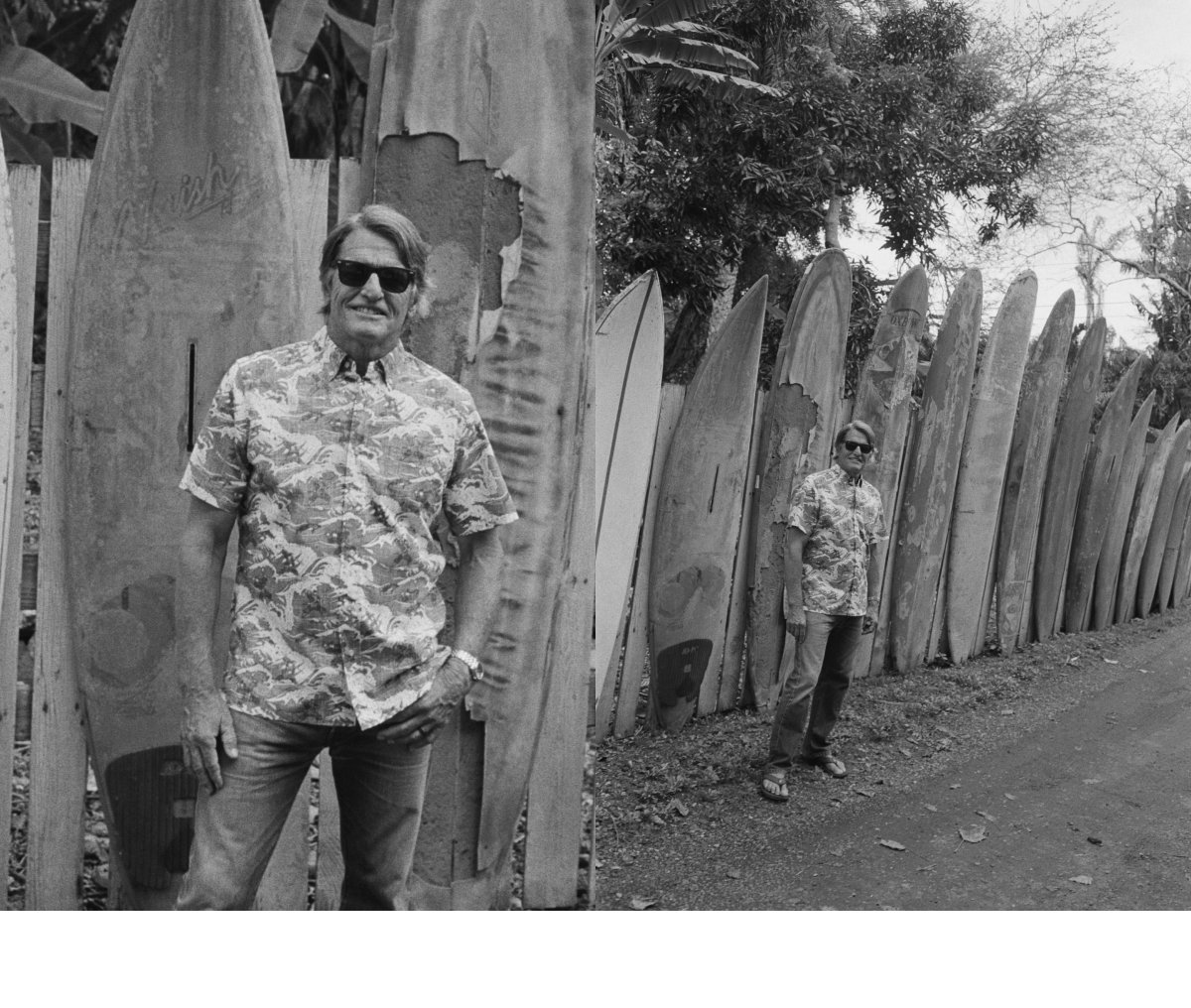 Shop Surf Ninjas
