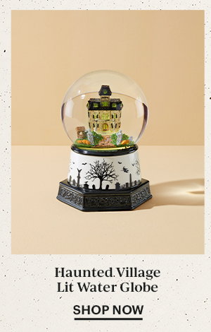 Haunted Village Lit Water Globe  SHOP NOW