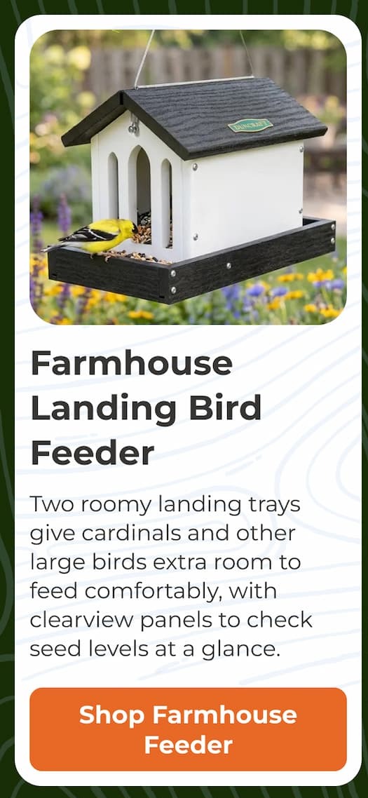 Farmhouse Landing Bird Feeder