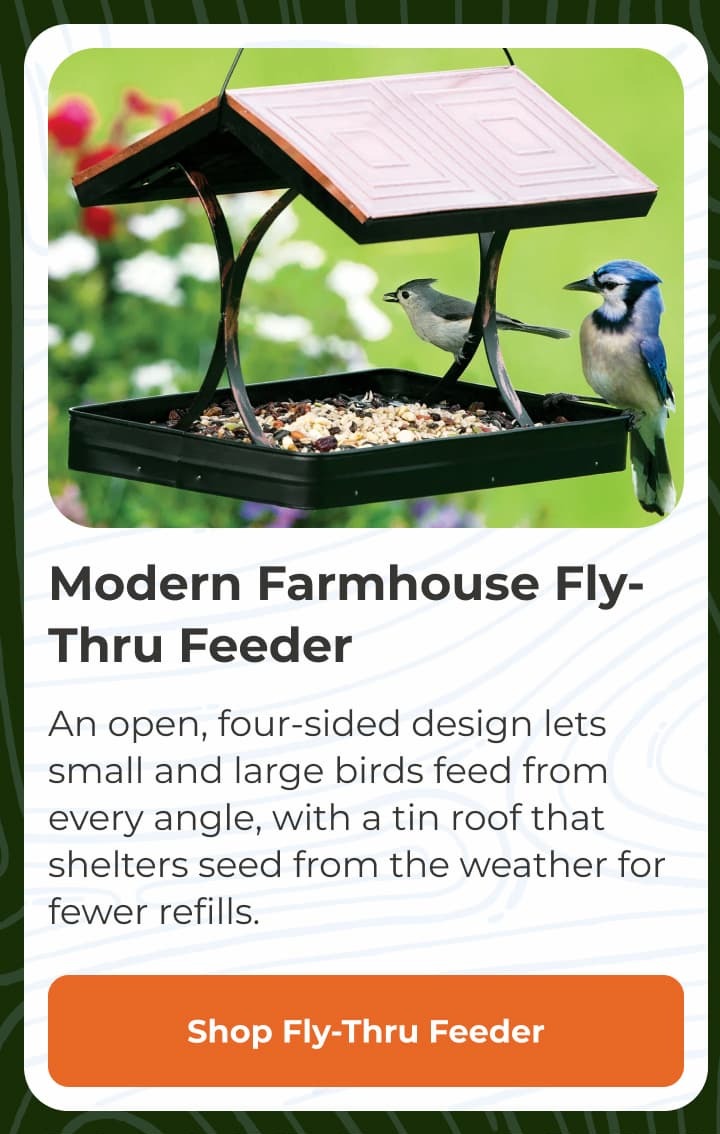 Modern Farmhouse Fly-Thru Feeder