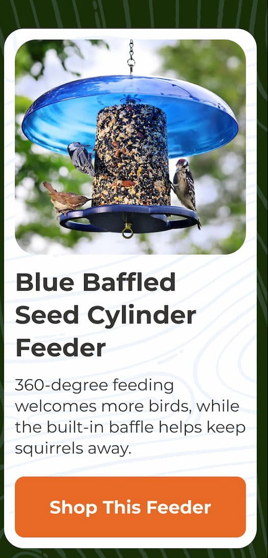 Blue Baffled Seed Cylinder Feeder