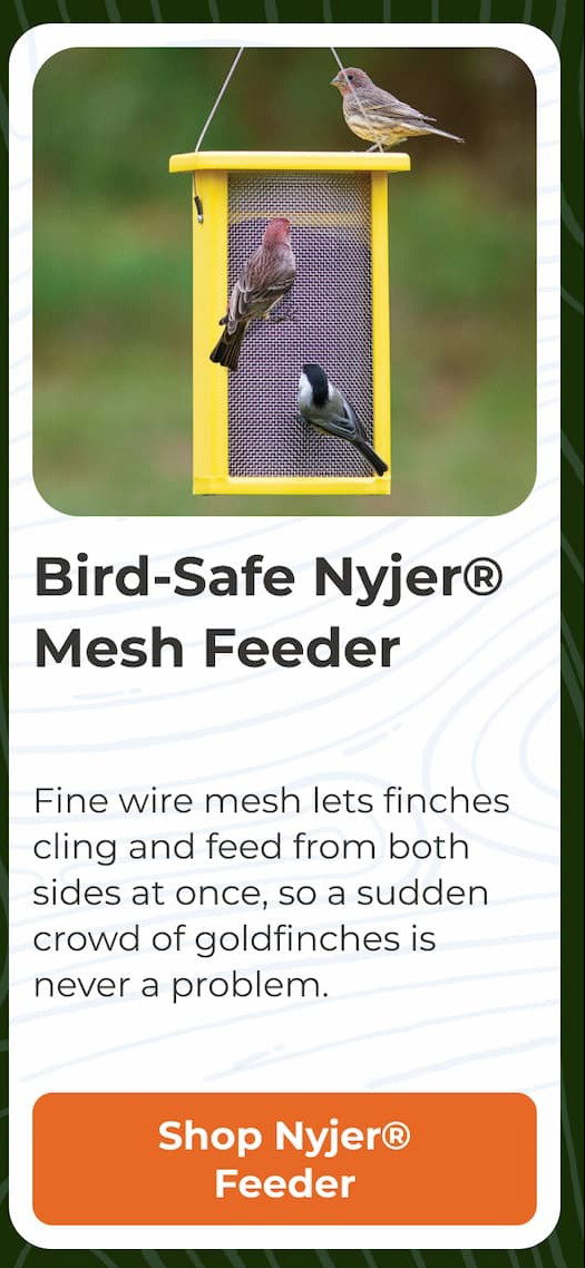 Bird-Safe Nyjer Mesh Feeder