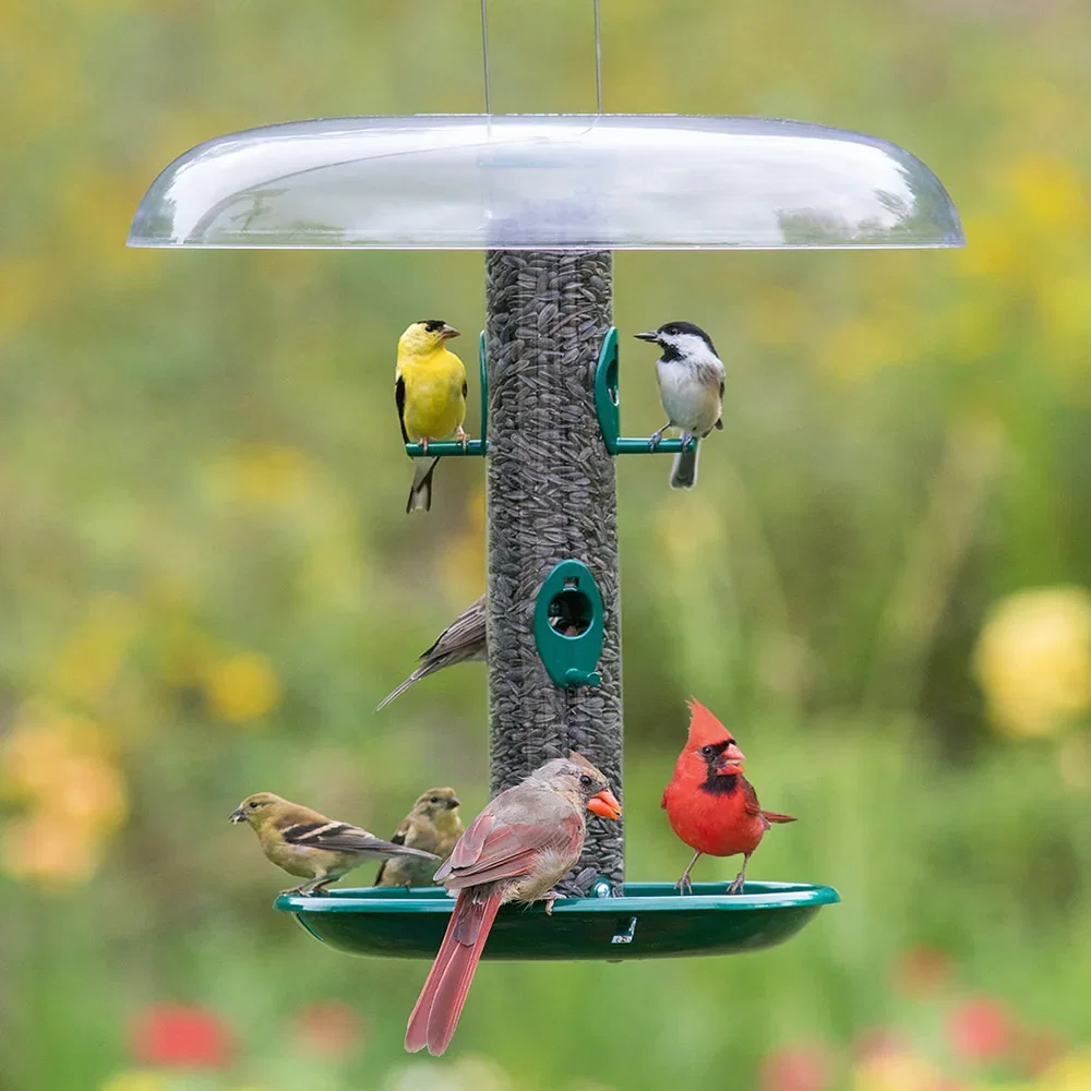 Image of Duncraft Original Tube Bird Feeder with Baffle & Seed Tray