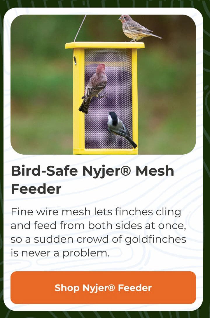 Bird-Safe Nyjer Mesh Feeder