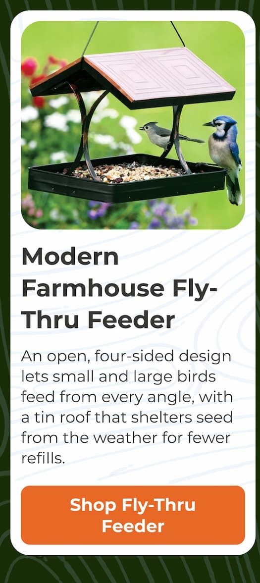 Modern Farmhouse Fly-Thru Feeder