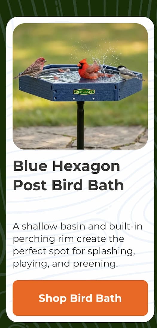 Blue Hexagon Post Bird Bath