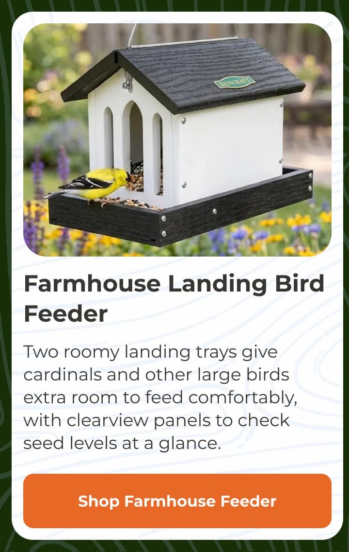 Farmhouse Landing Bird Feeder