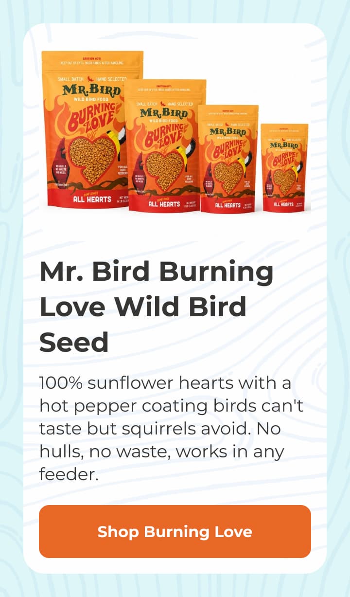 Mr. Bird Burning Love Wild Bird Seed