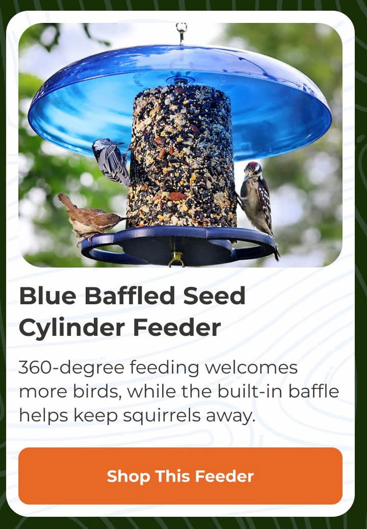 Blue Baffled Seed Cylinder Feeder