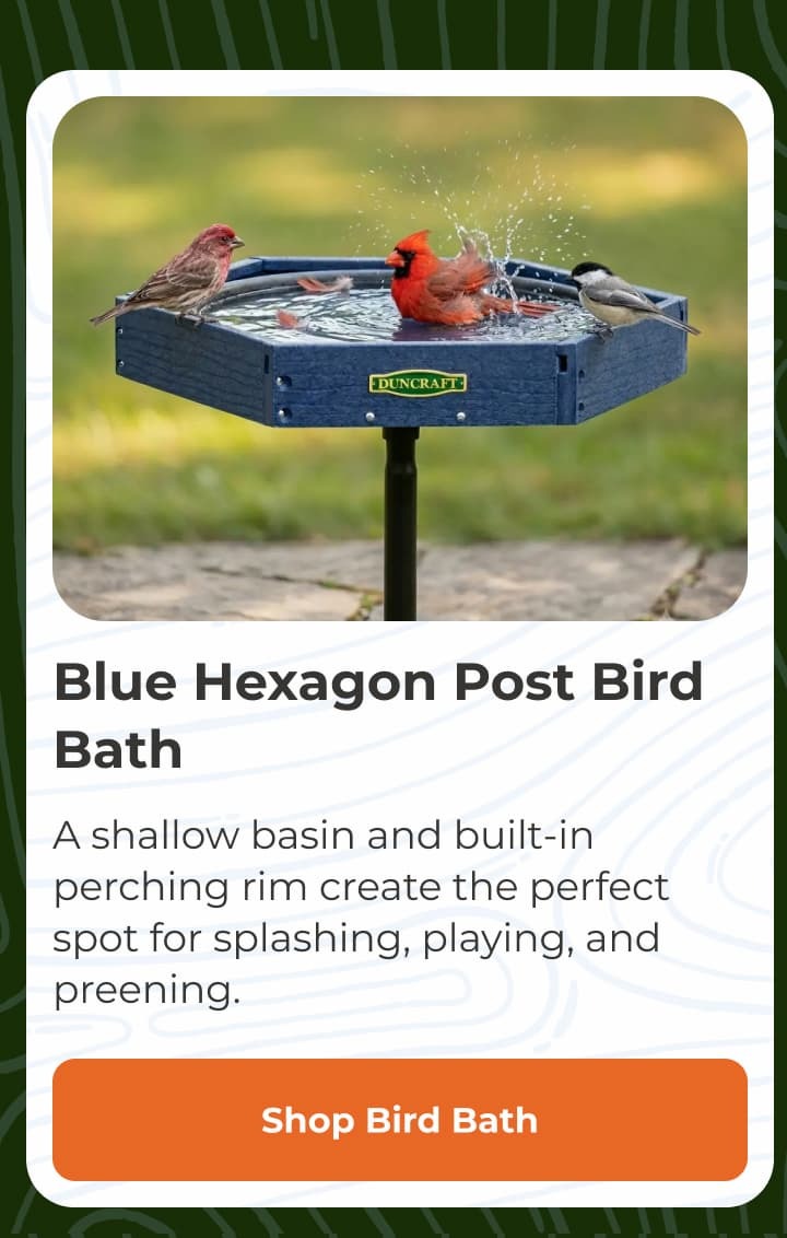 Blue Hexagon Post Bird Bath