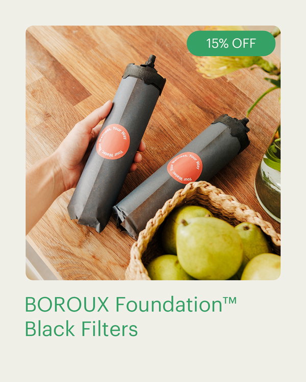BOROUX Foundation™ Back Filters