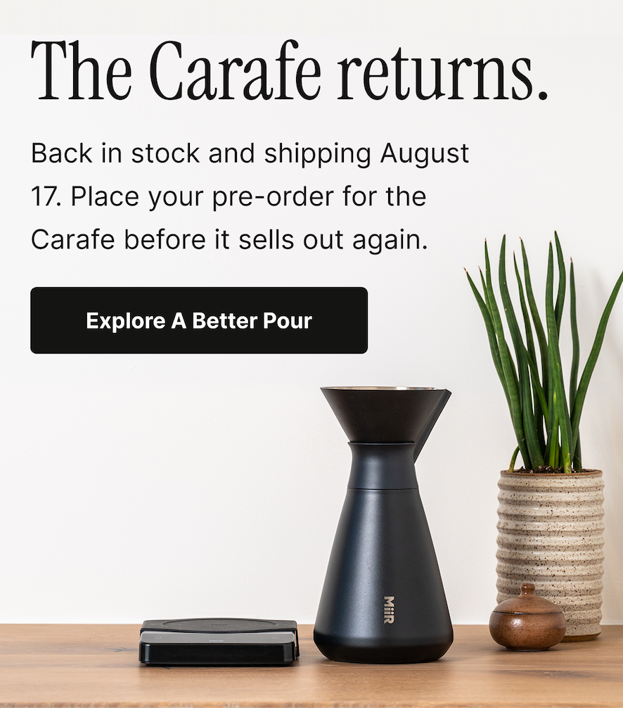 The Carafe returns.