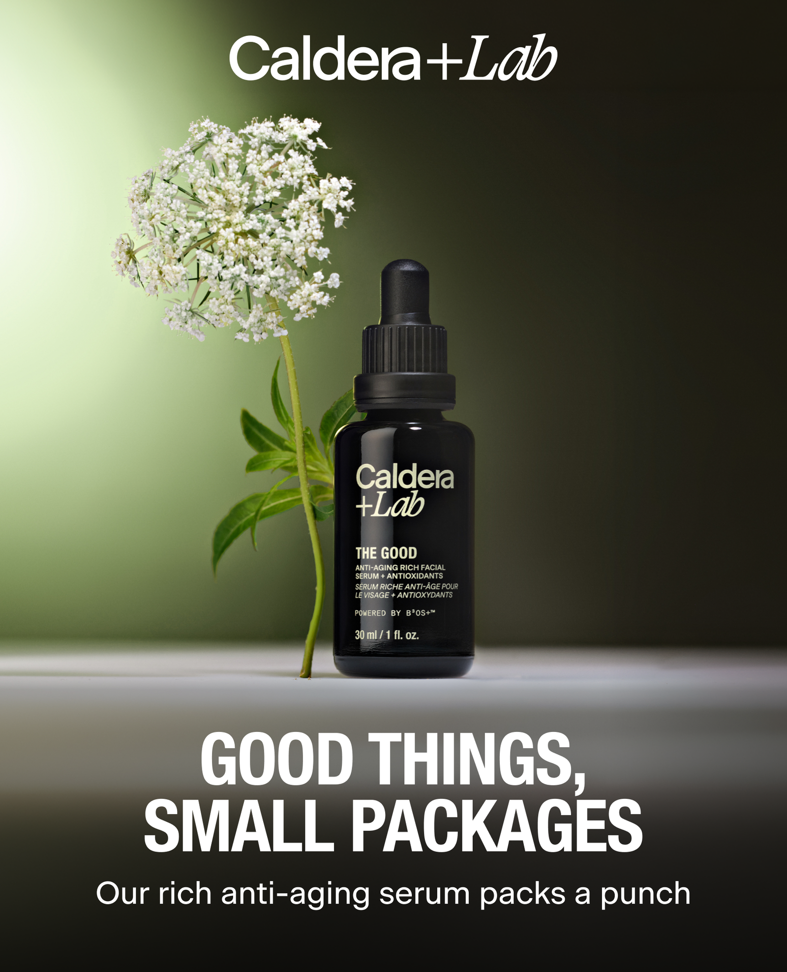 GOOD THINGS, SMALL PACKAGES | Our rich anti-aging serum packs a punch