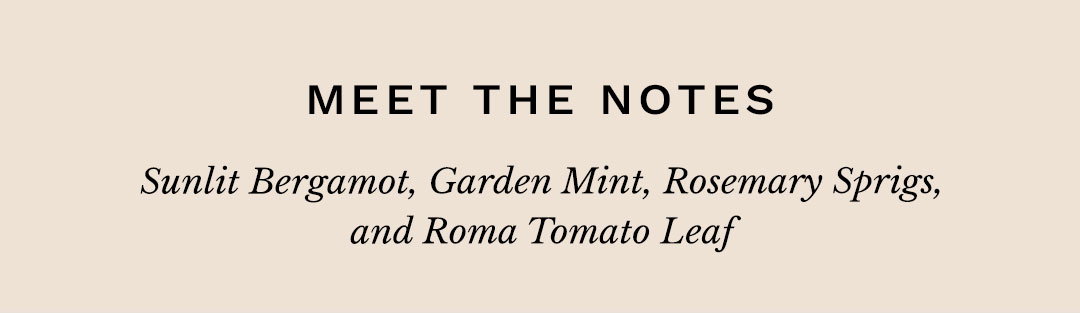 Meet the Notes