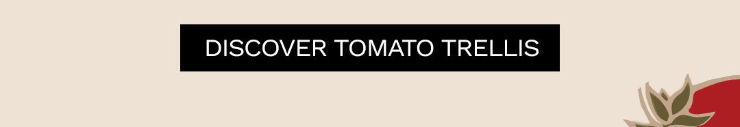 Discover Tomato Trellis