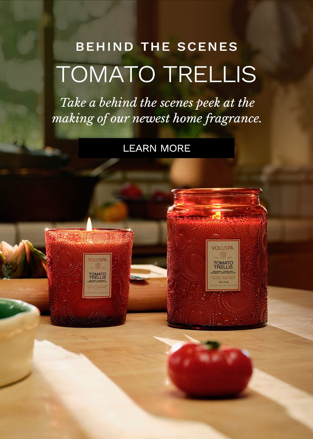 Behind the Scenes Tomato Trellis