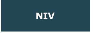 NIV Bibles
