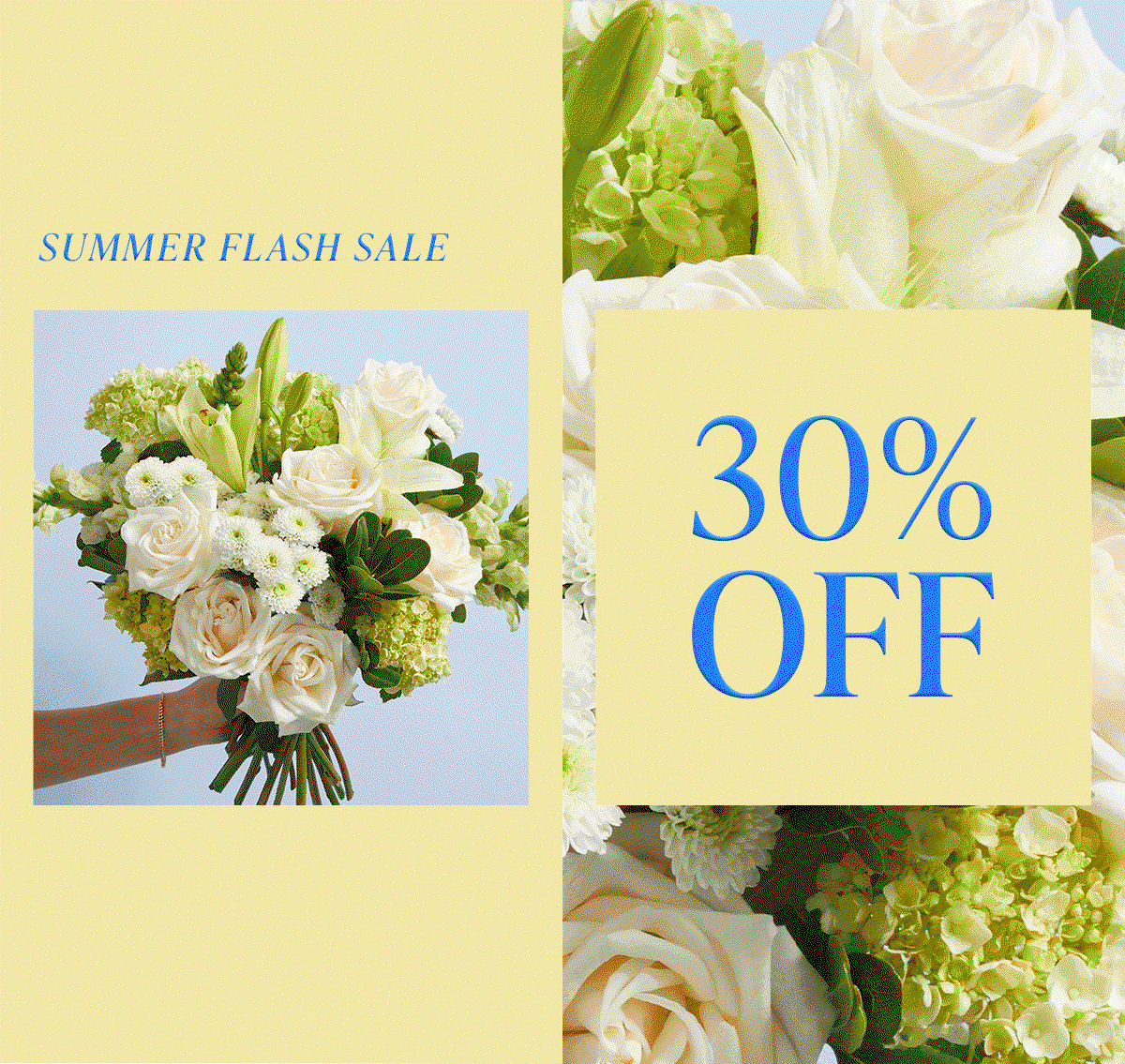 Summer Flash Sale: 30% Off. 