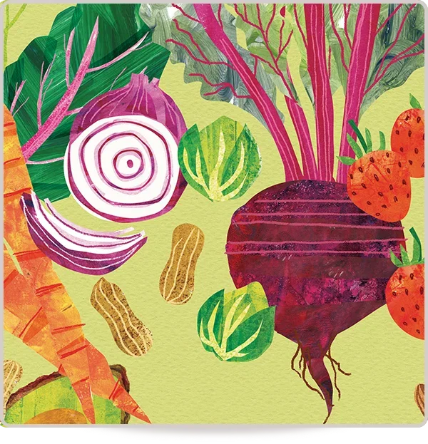 Vegetable Illustrations