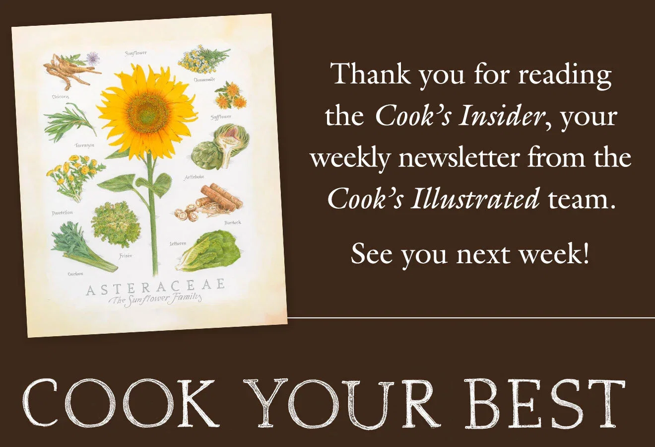 Thank you for reading the Cook's Insider, your weekly newsletter from the Cook's Illustrated team. See you next week!