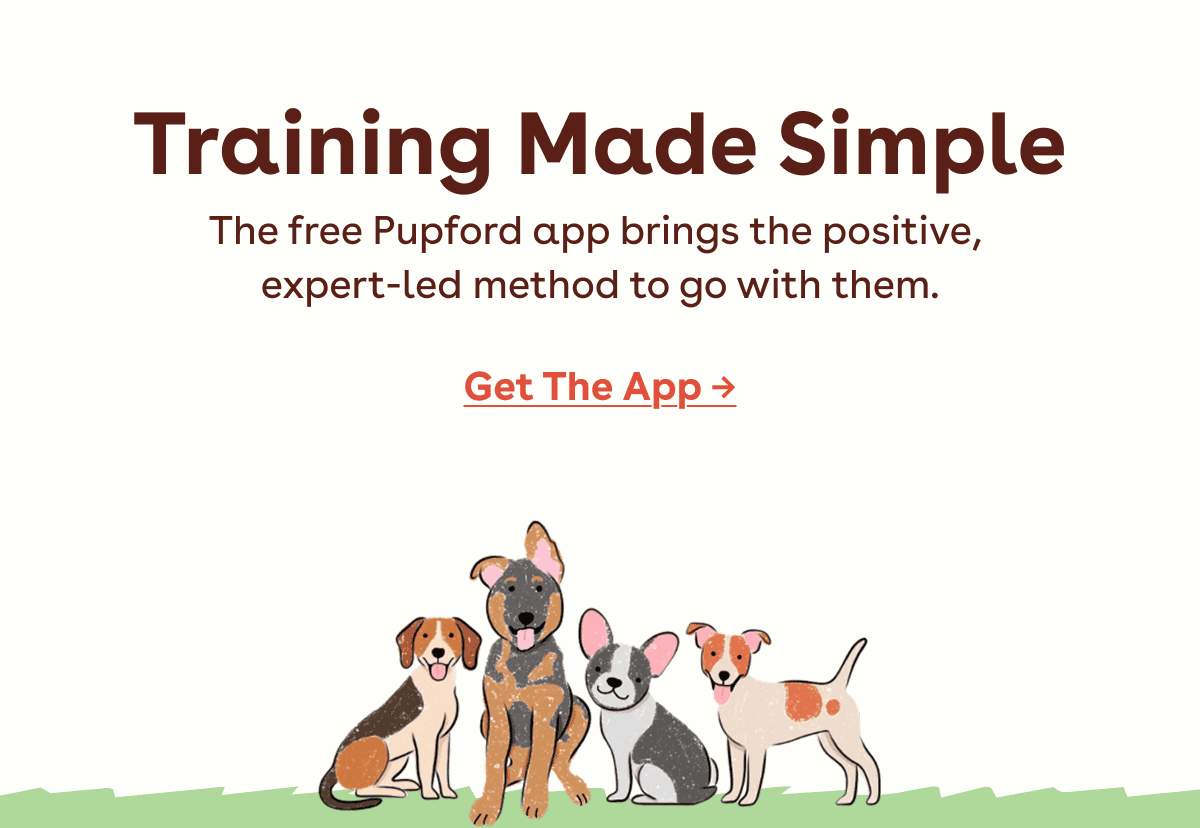 Get the app