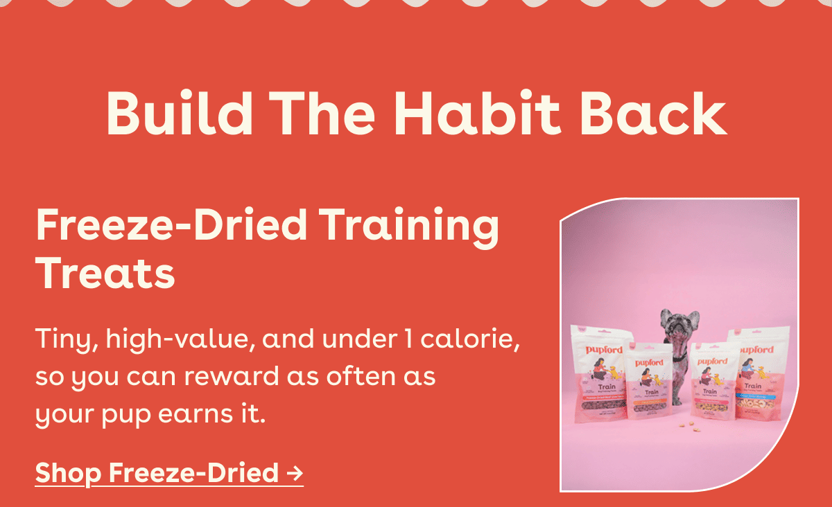 Shop freeze dried