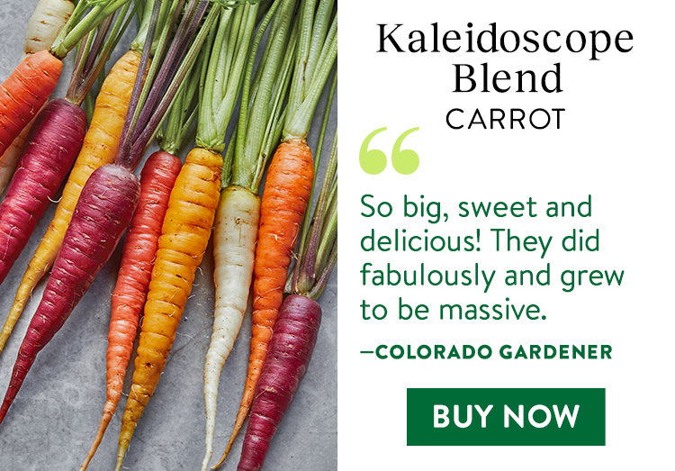Kaleidoscope Blend Carrot Seeds