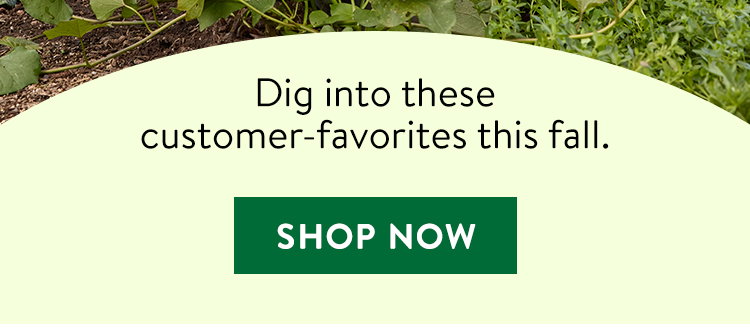 Root Crops