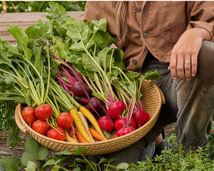 Root Crops