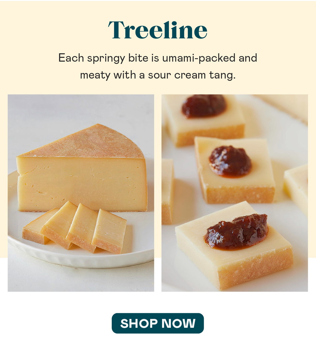Cave Aged Reserve Treeline​​