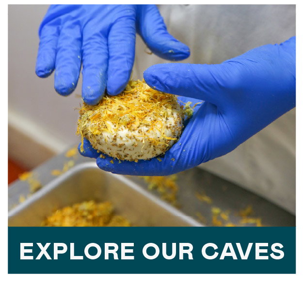 Shop All Cave Aged