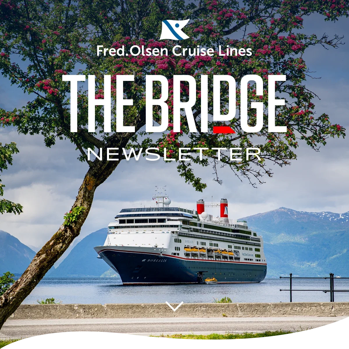 The Bridge Newsletter - click to find out more