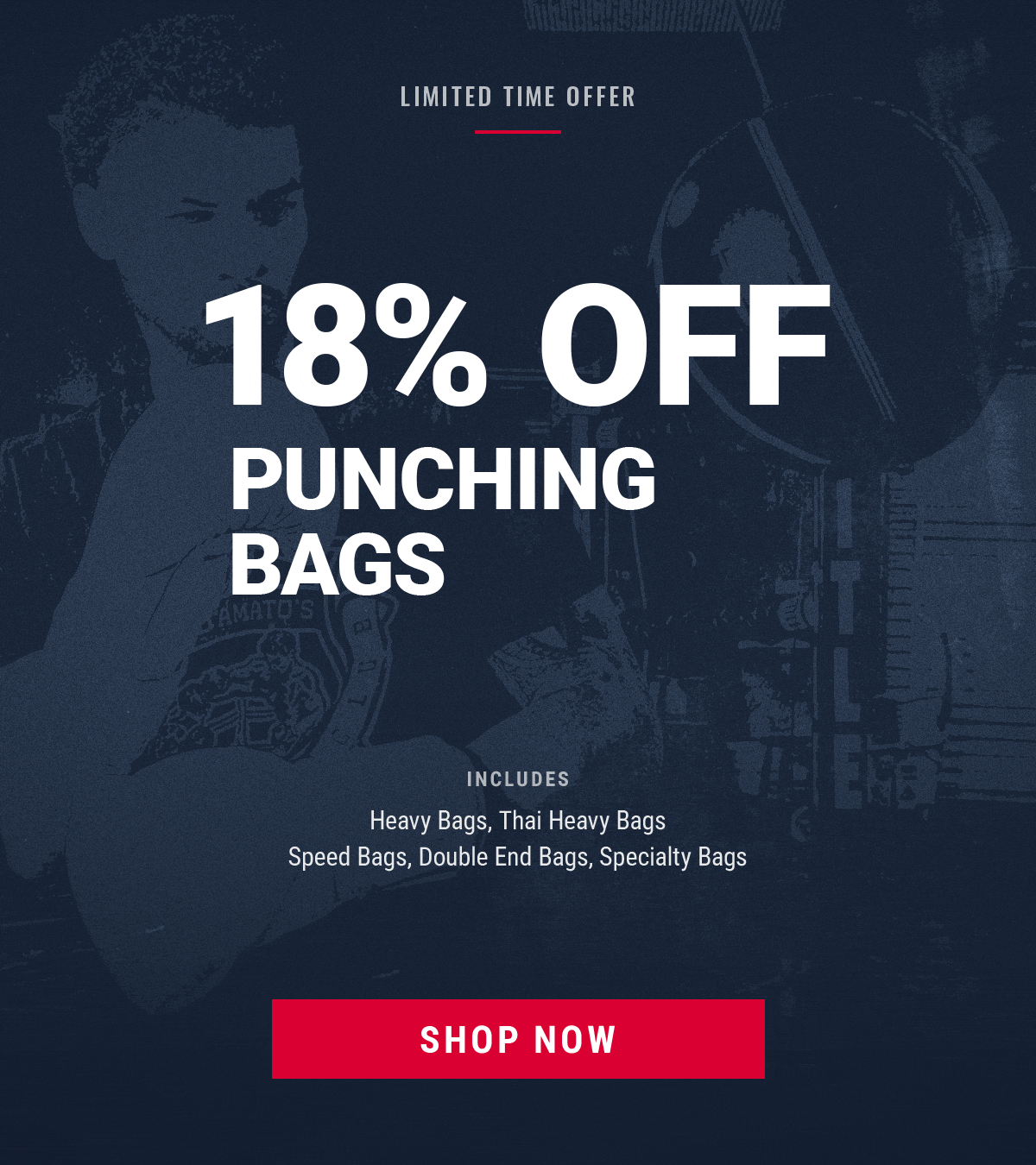 18% OFF PUNCHING BAGS! SHOP NOW