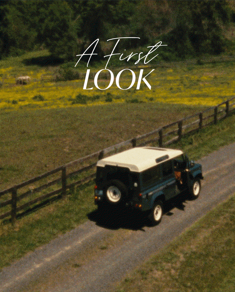 A First Look