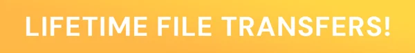 Transfr Pro: Lifetime Subscription